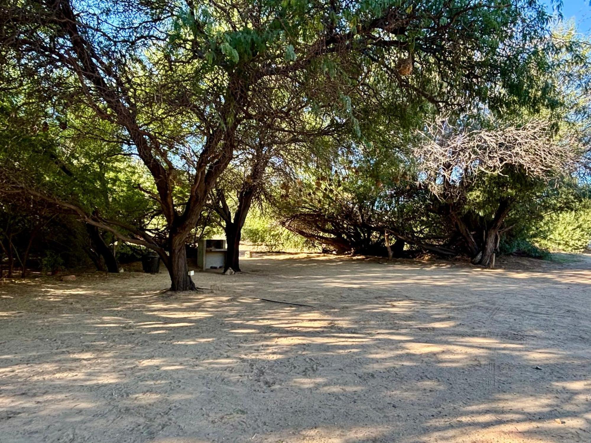 Enjo Nature Farm Clanwilliam Exteriör bild