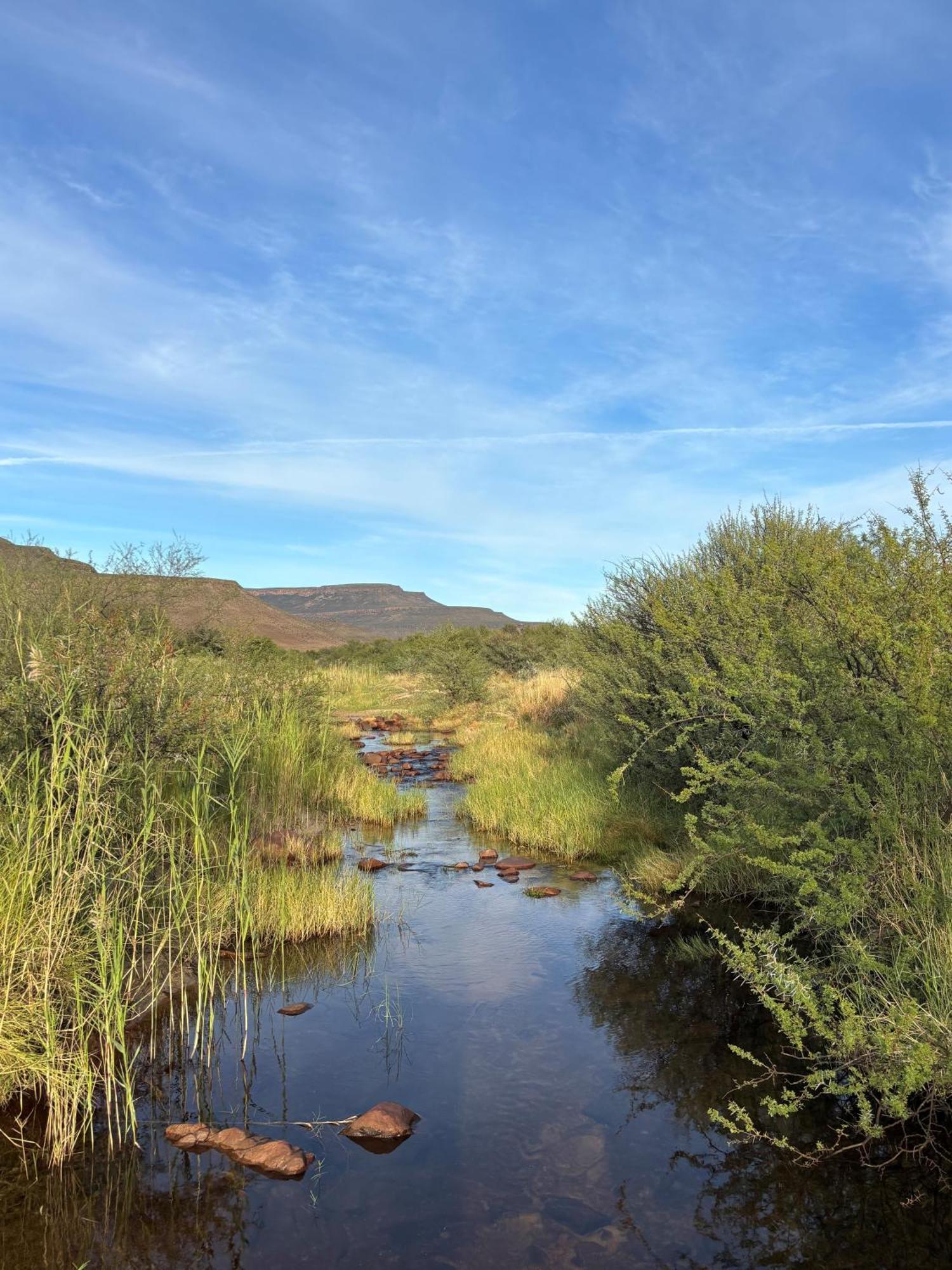 Enjo Nature Farm Clanwilliam Exteriör bild